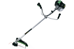BFSP1601