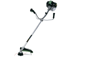 BFSP2101